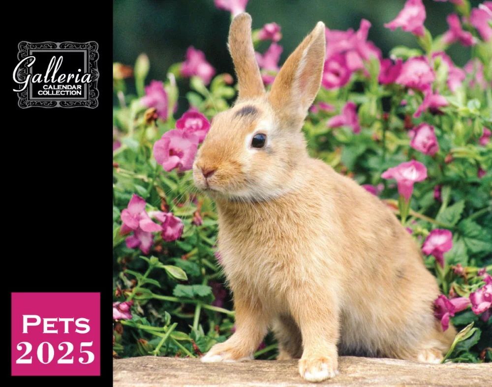 Calendrier mural Galleria 2025 Animaux domestiques