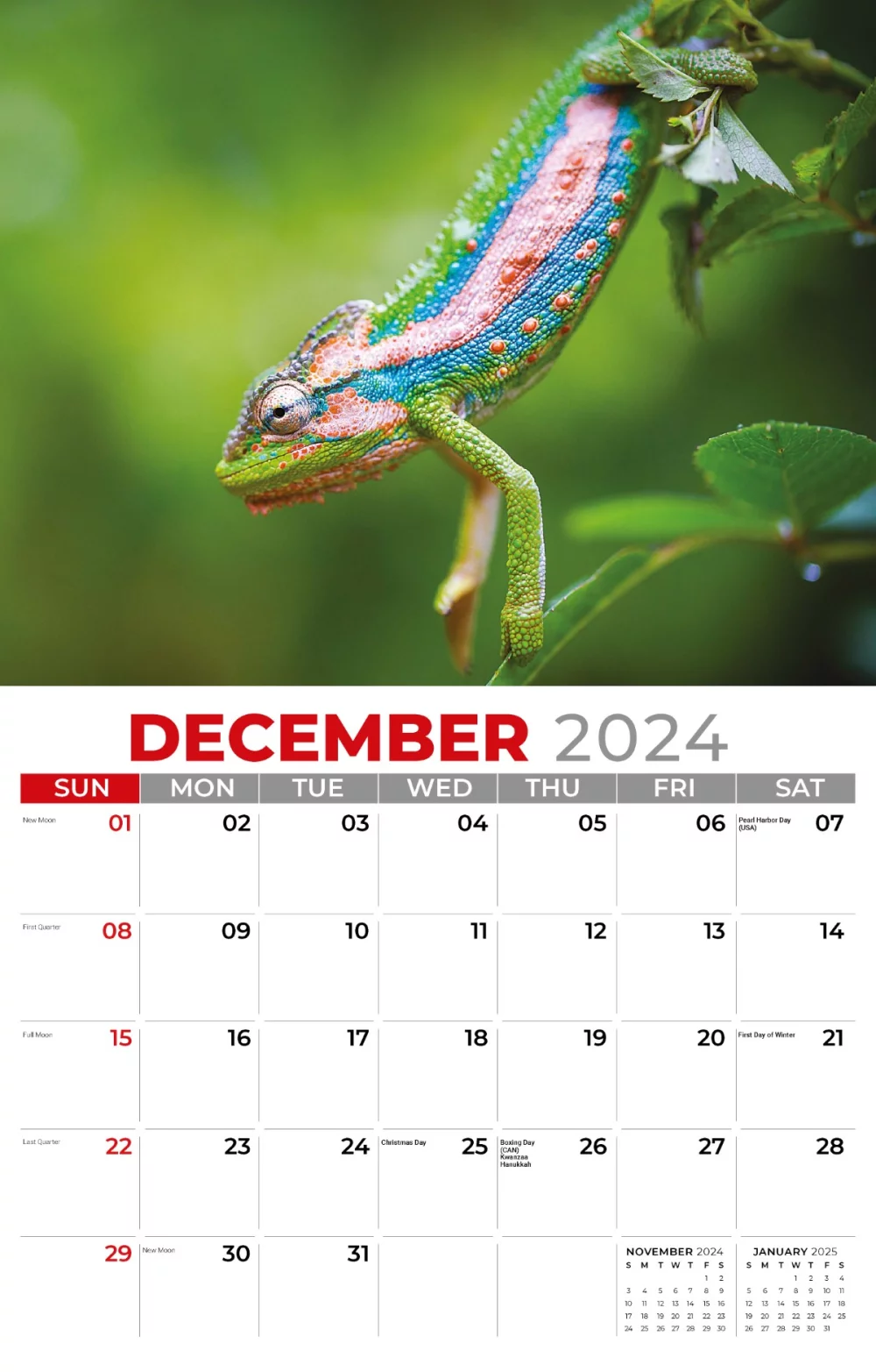 Calendrier mural Galleria 2025 Animaux domestiques