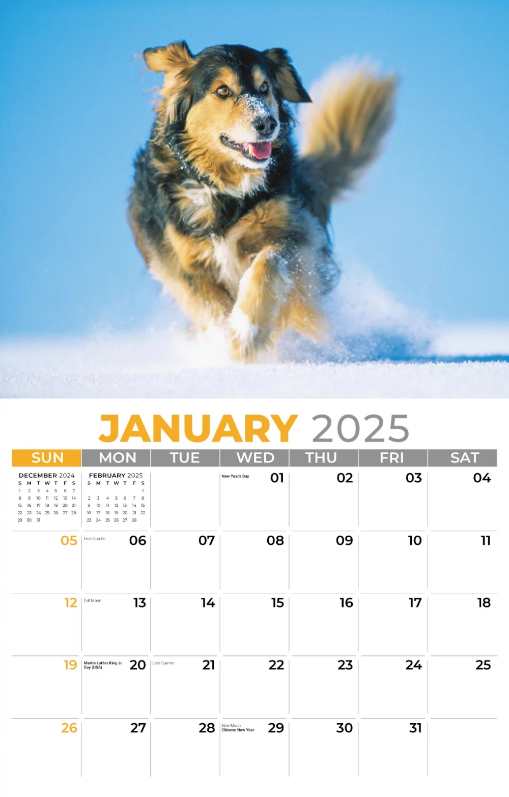 Calendrier mural Galleria 2025 Animaux domestiques