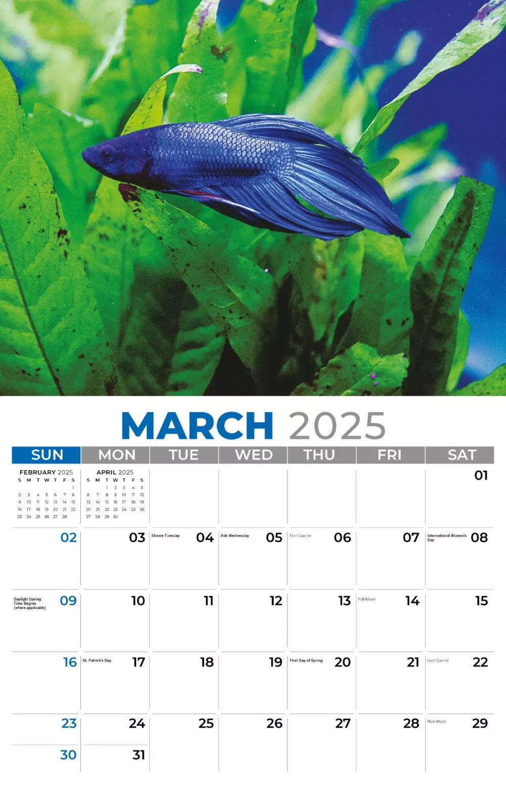 Calendrier mural Galleria 2025 Animaux domestiques