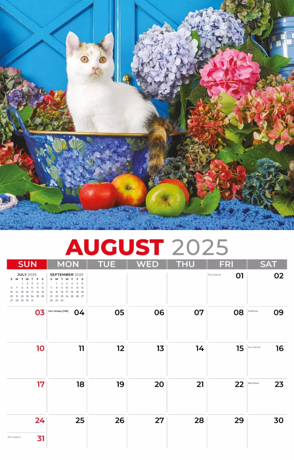Calendrier mural Galleria 2025 Animaux domestiques