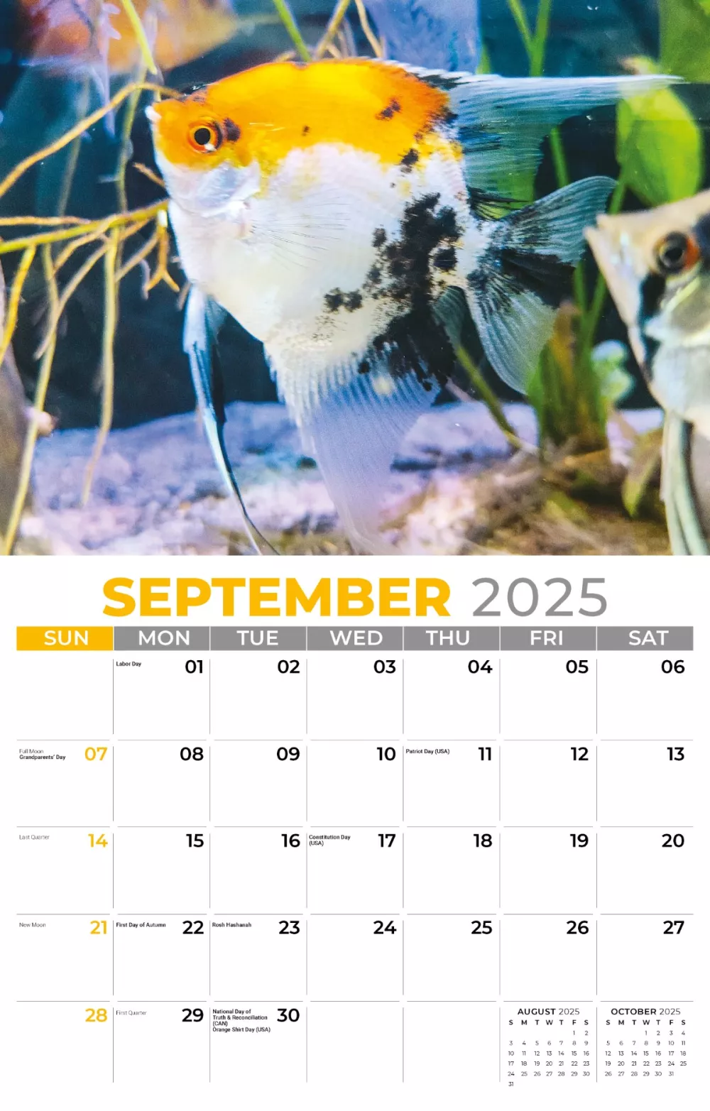 Calendrier mural Galleria 2025 Animaux domestiques