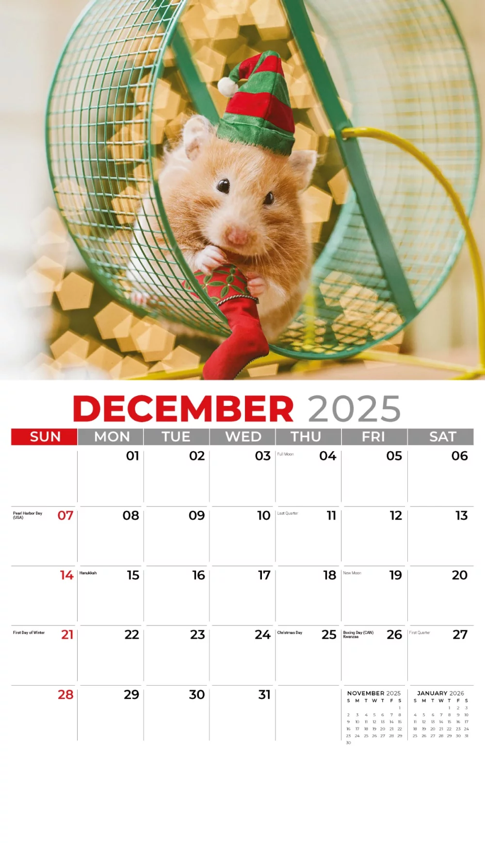 Calendrier mural Galleria 2025 Animaux domestiques