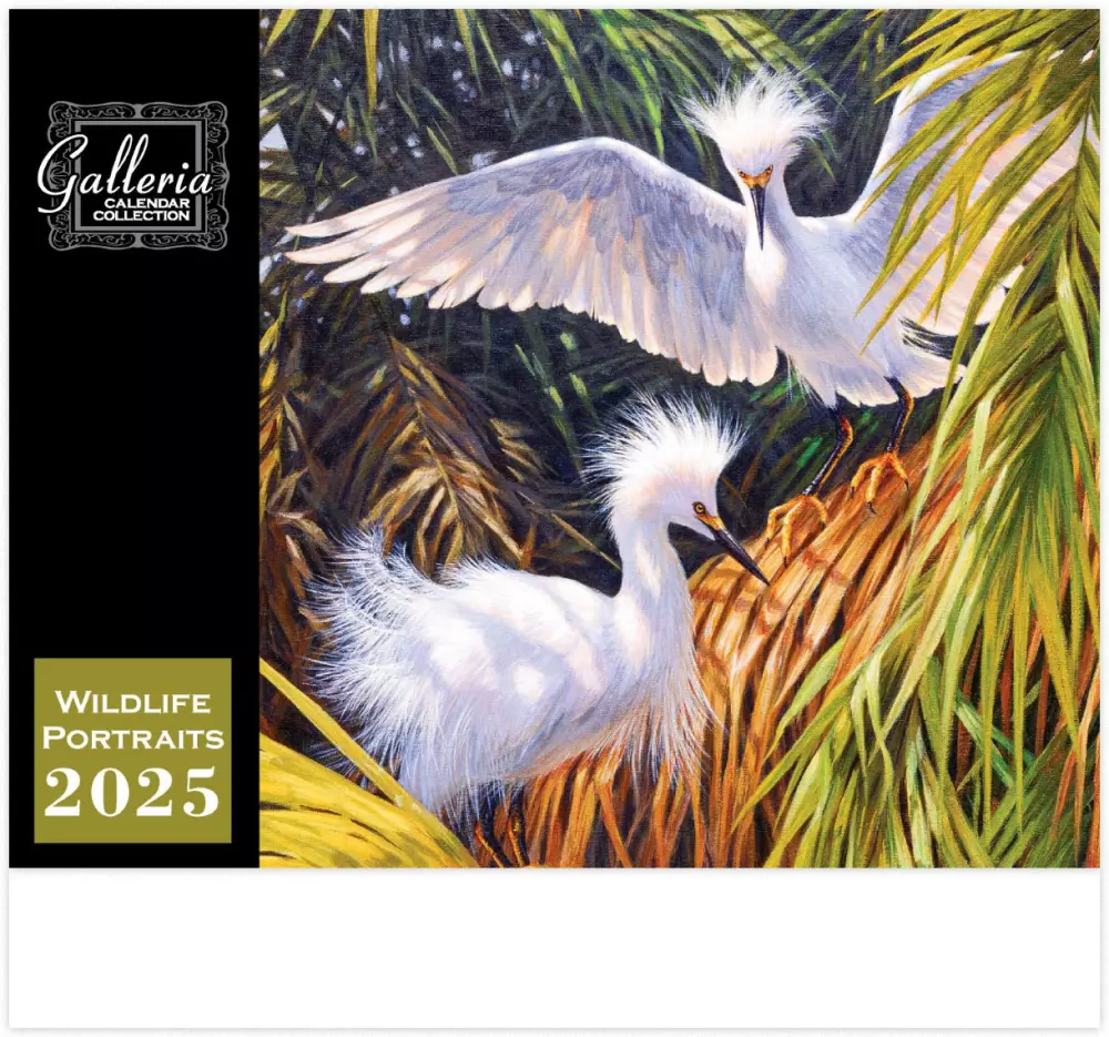 Calendrier mural Galleria 2025 Portraits de la faune