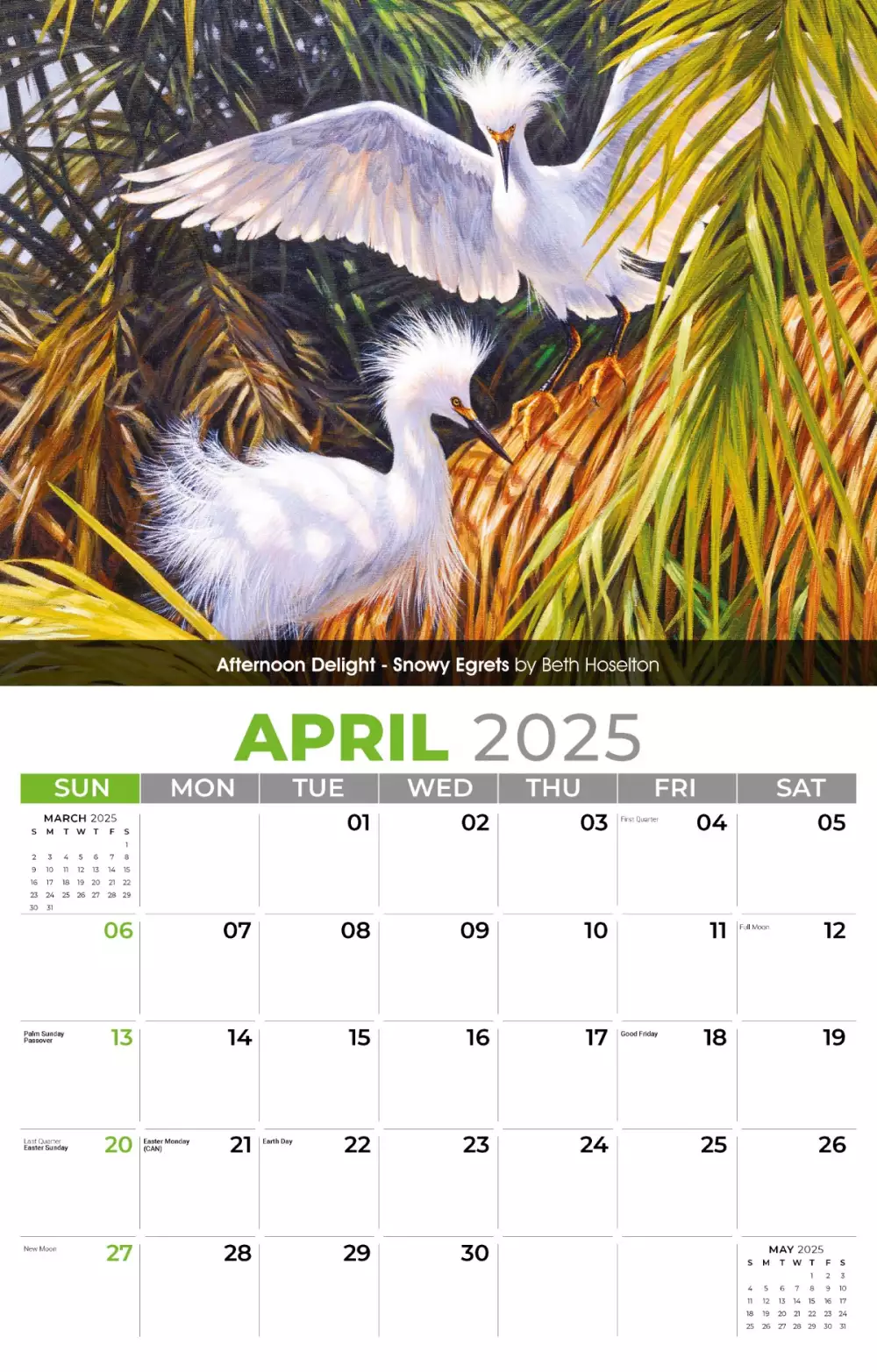 Calendrier mural Galleria 2025 Portraits de la faune