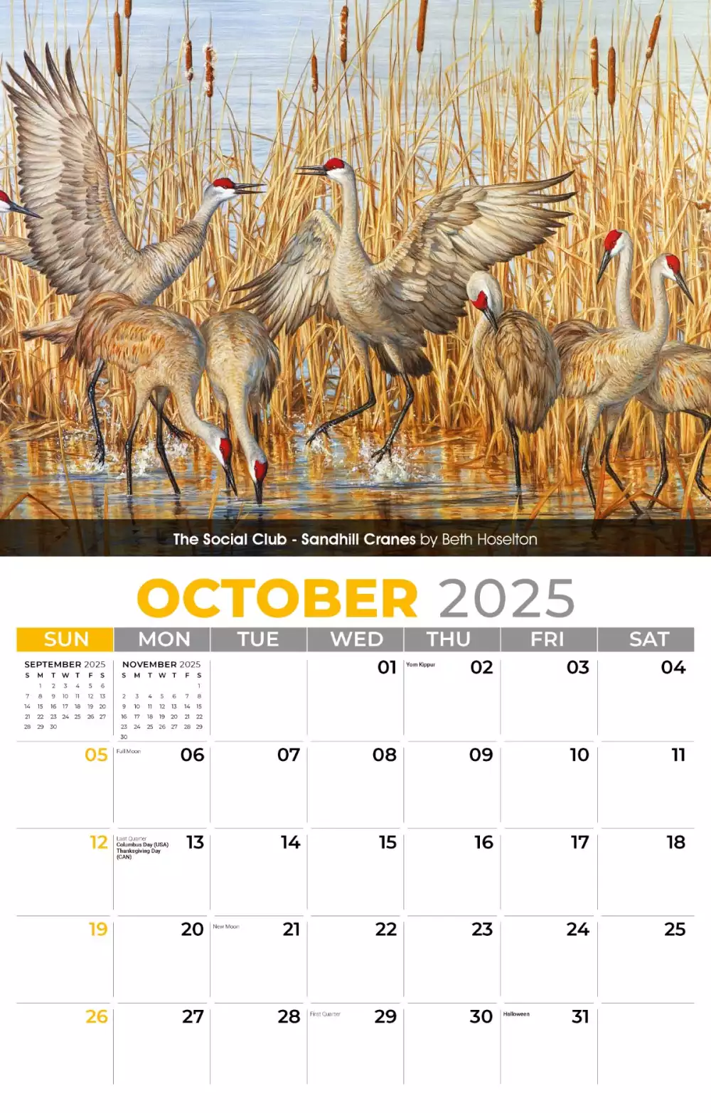 Calendrier mural Galleria 2025 Portraits de la faune