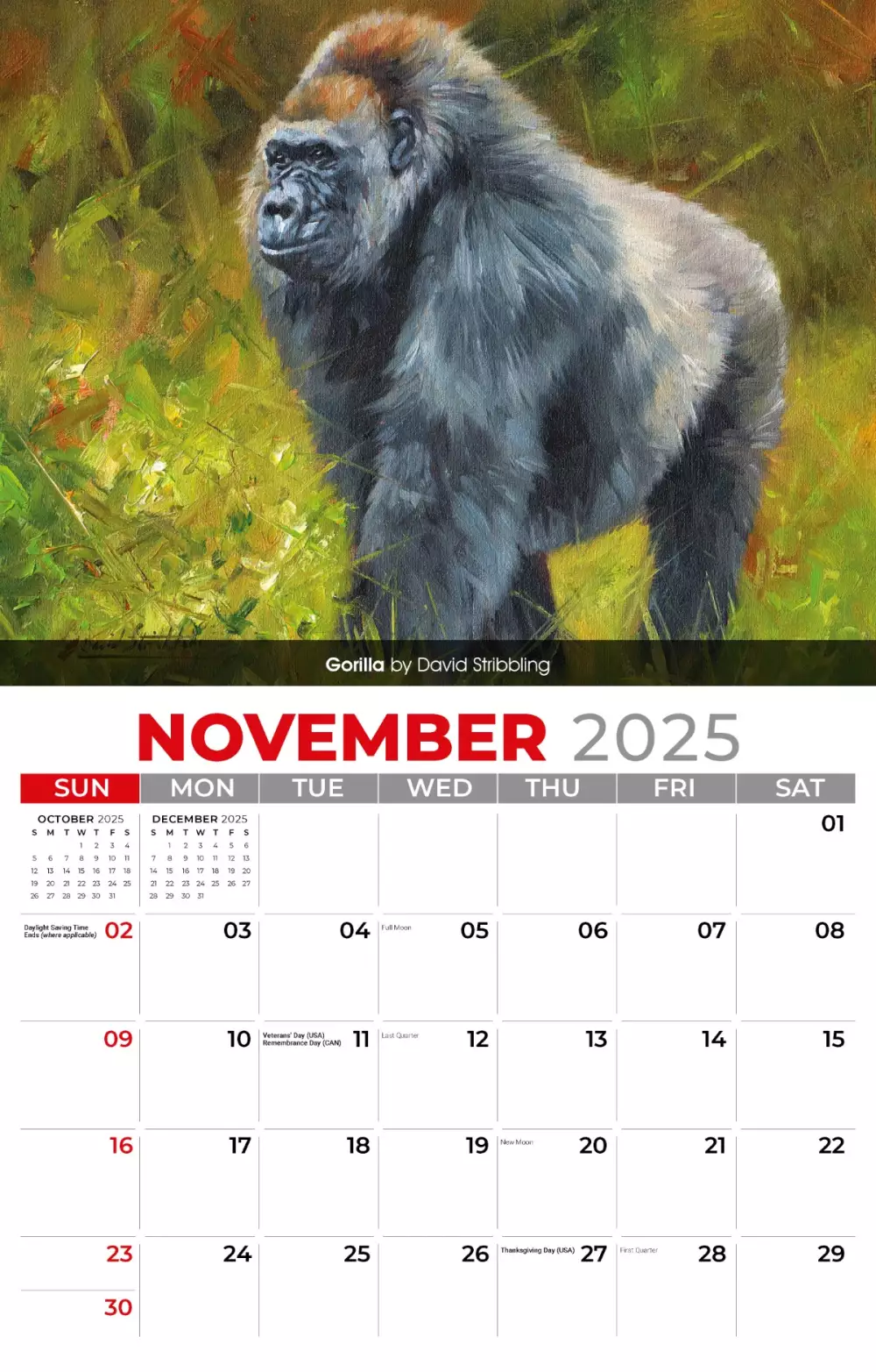 Calendrier mural Galleria 2025 Portraits de la faune