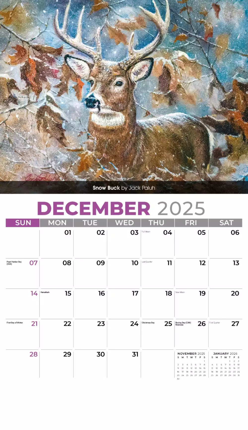 Calendrier mural Galleria 2025 Portraits de la faune