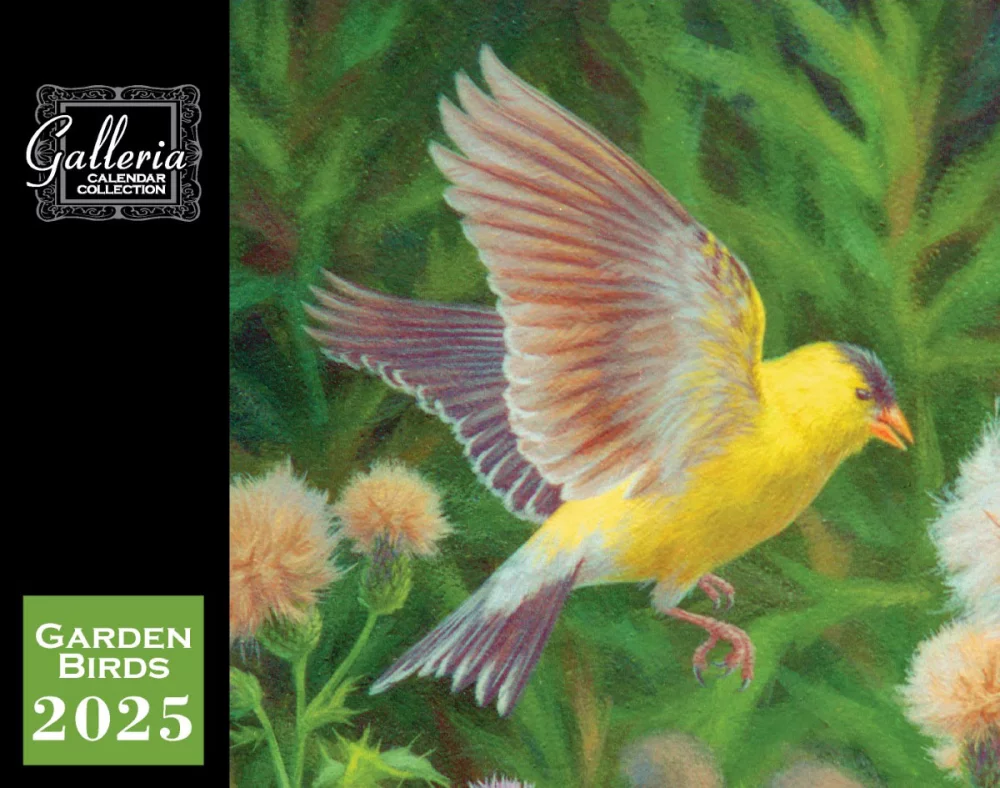 Calendrier mural Galleria 2025 Oiseaux de jardin