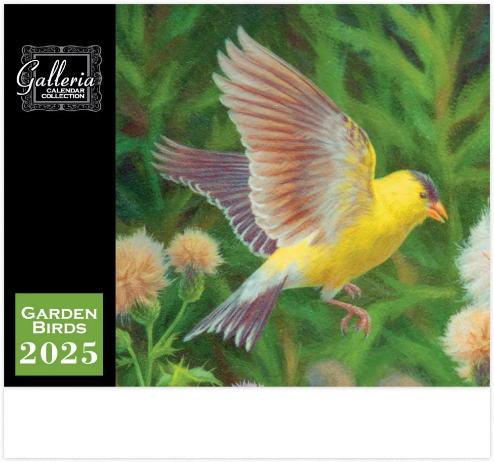 Calendrier mural Galleria 2025 Oiseaux de jardin