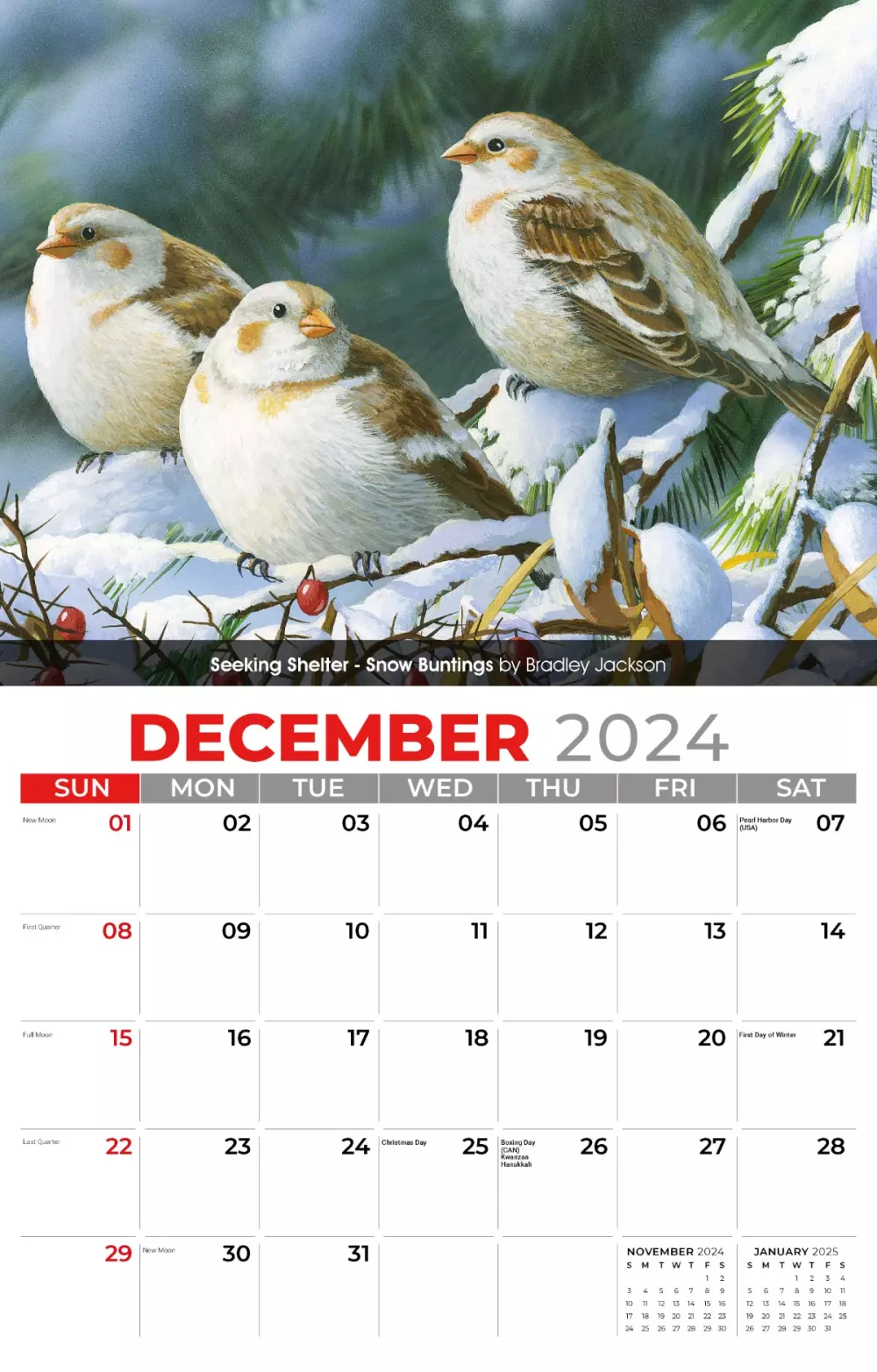 Calendrier mural Galleria 2025 Oiseaux de jardin