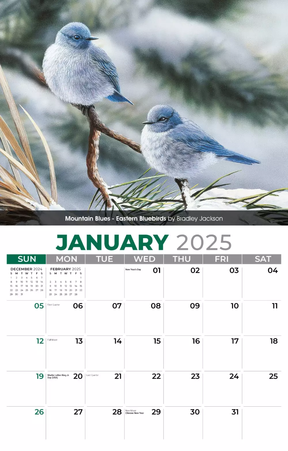 Calendrier mural Galleria 2025 Oiseaux de jardin
