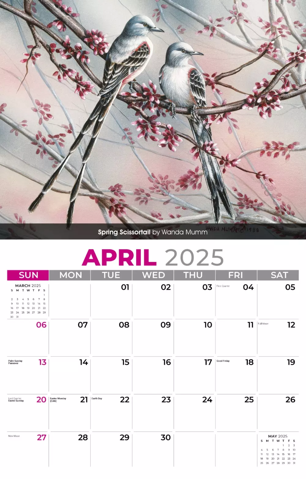 Calendrier mural Galleria 2025 Oiseaux de jardin