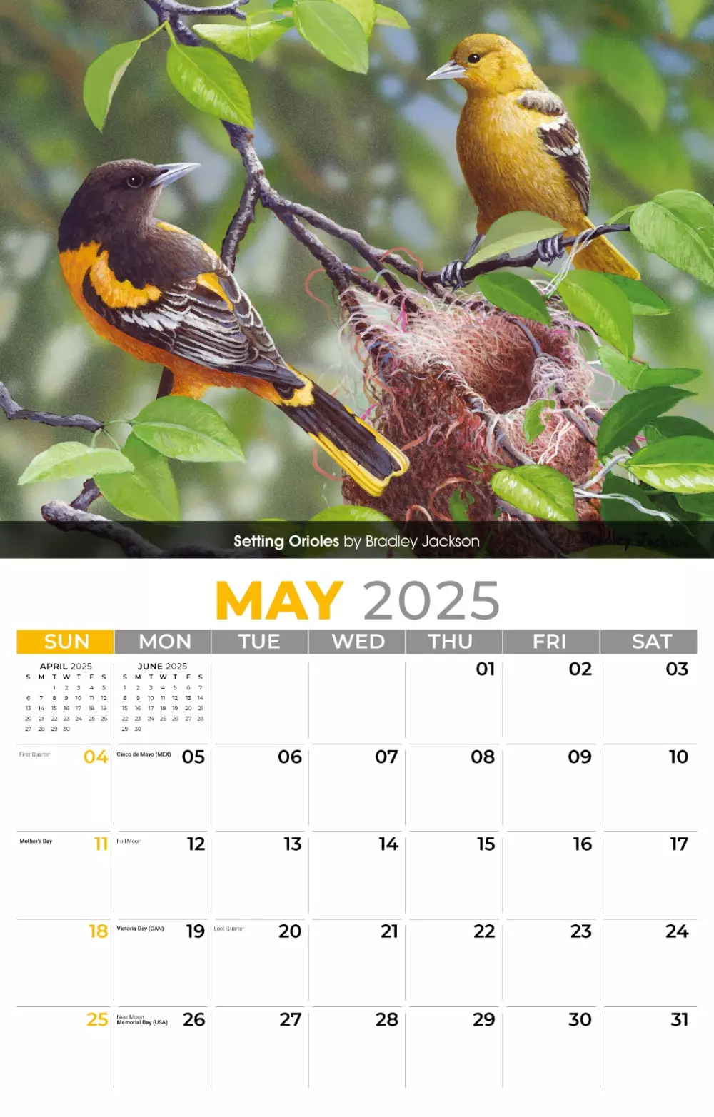 Calendrier mural Galleria 2025 Oiseaux de jardin