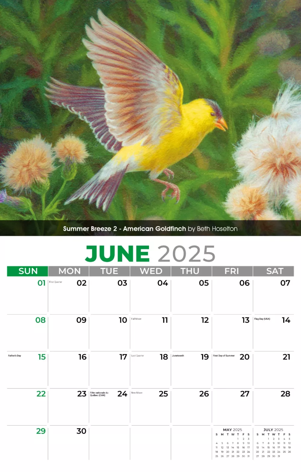 Calendrier mural Galleria 2025 Oiseaux de jardin