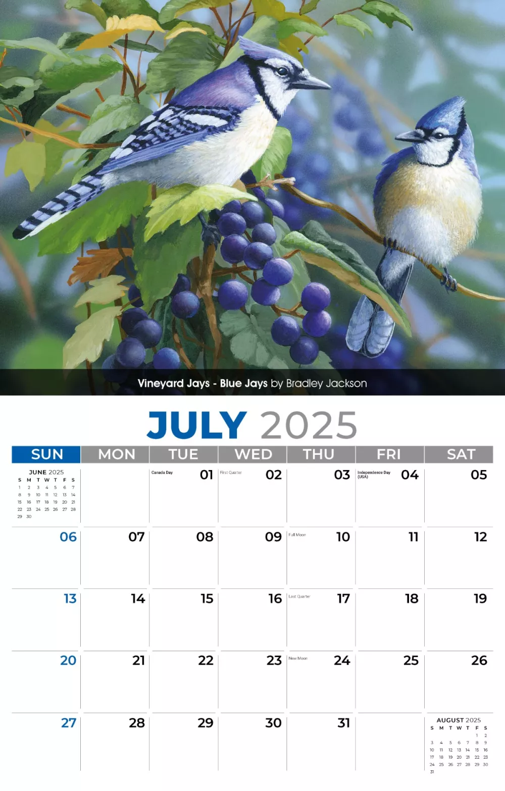 Calendrier mural Galleria 2025 Oiseaux de jardin
