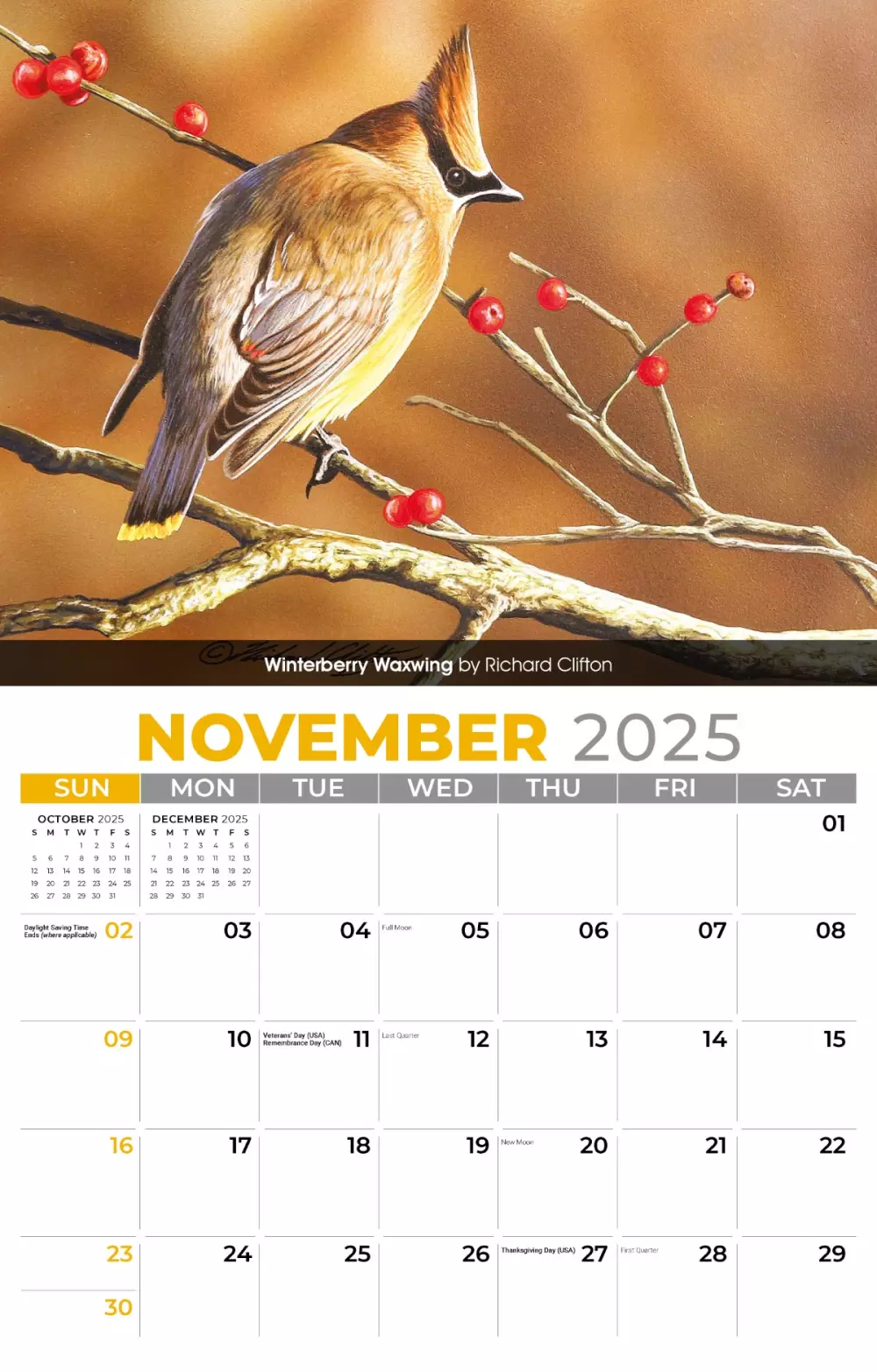 Calendrier mural Galleria 2025 Oiseaux de jardin