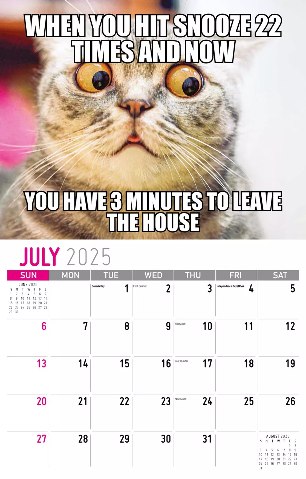 Galleria Wall Calendar 2025 The Memeing Of Life