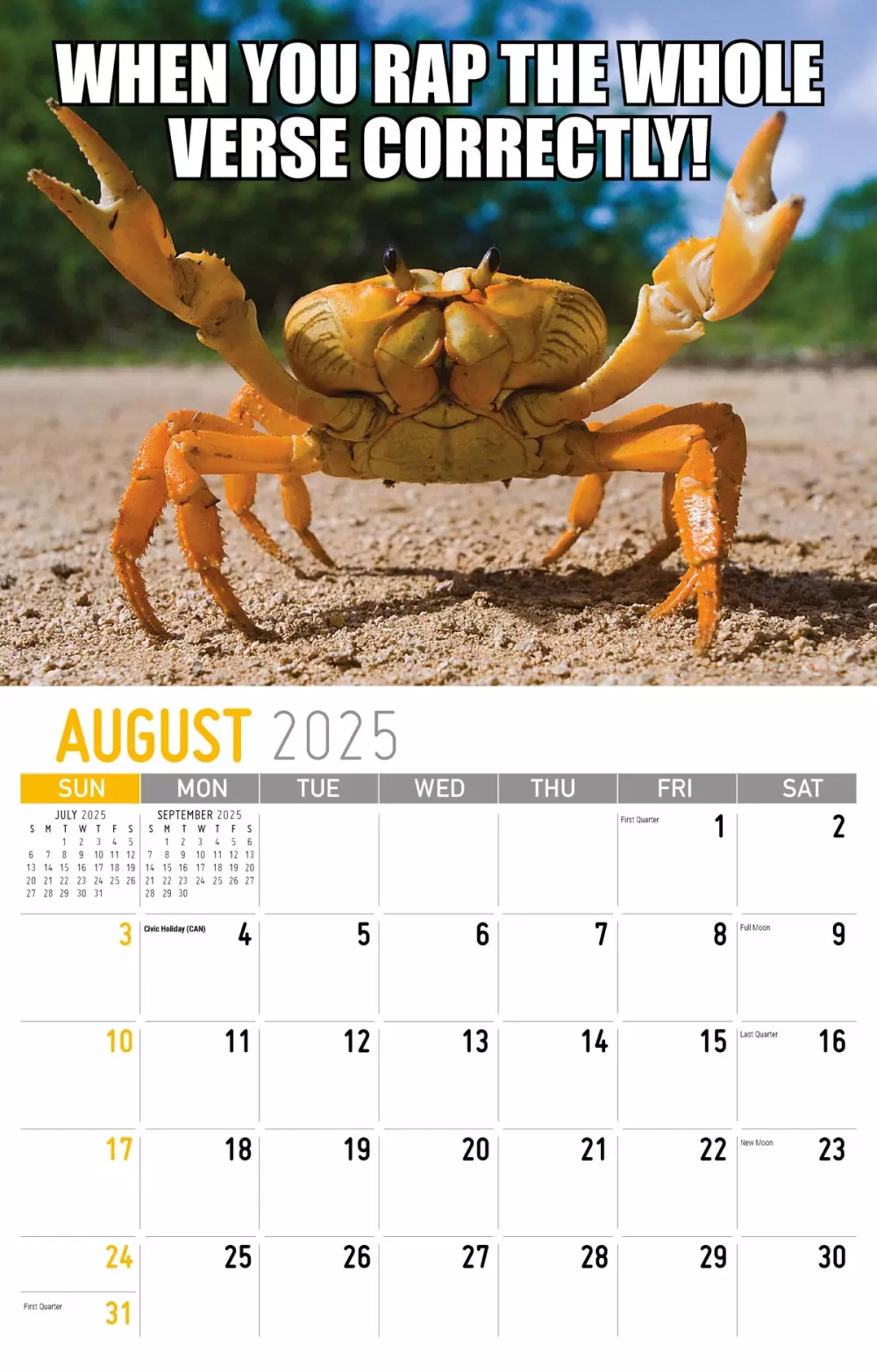 Calendrier mural Galleria 2025 : Le sens de la vie en mèmes
