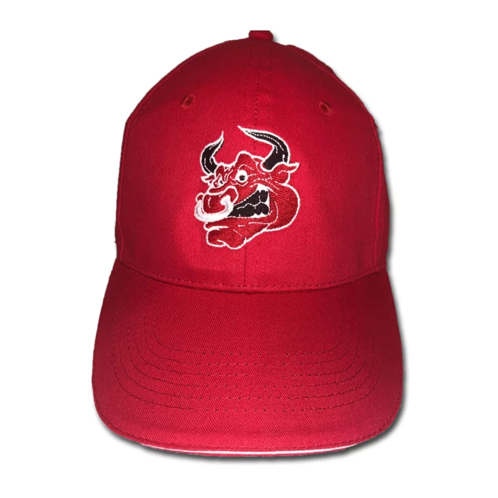 Brush Cotton Cap with sandwich trim (10-15 Days)