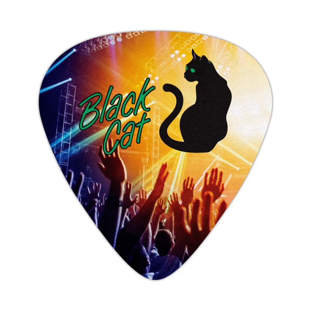 Single Guitar Pick Coasters