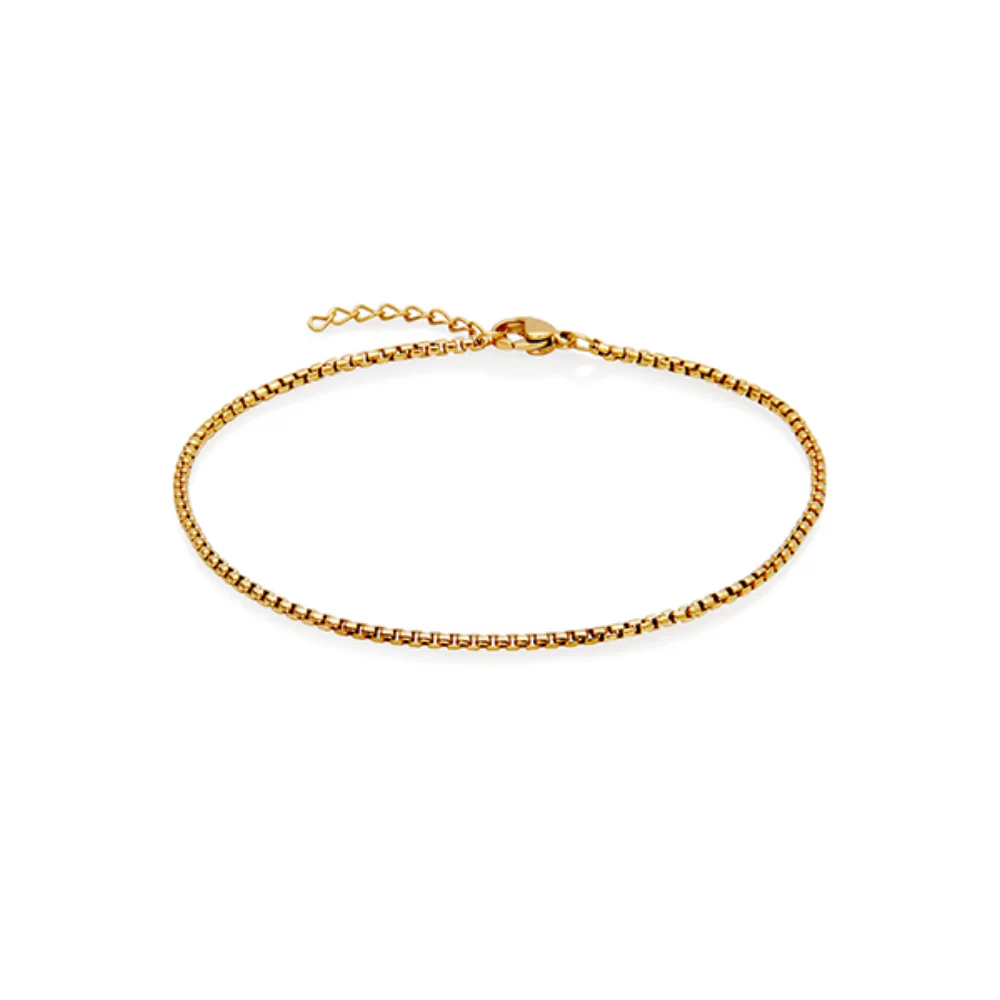 Cheville en chaîne de boîte ronde CJ Steelx 2mm - Or