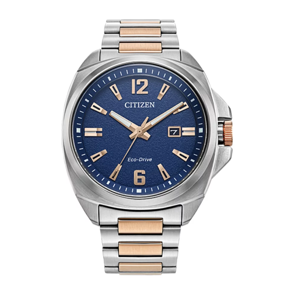Montre Citizen Endicott - Bicolore
