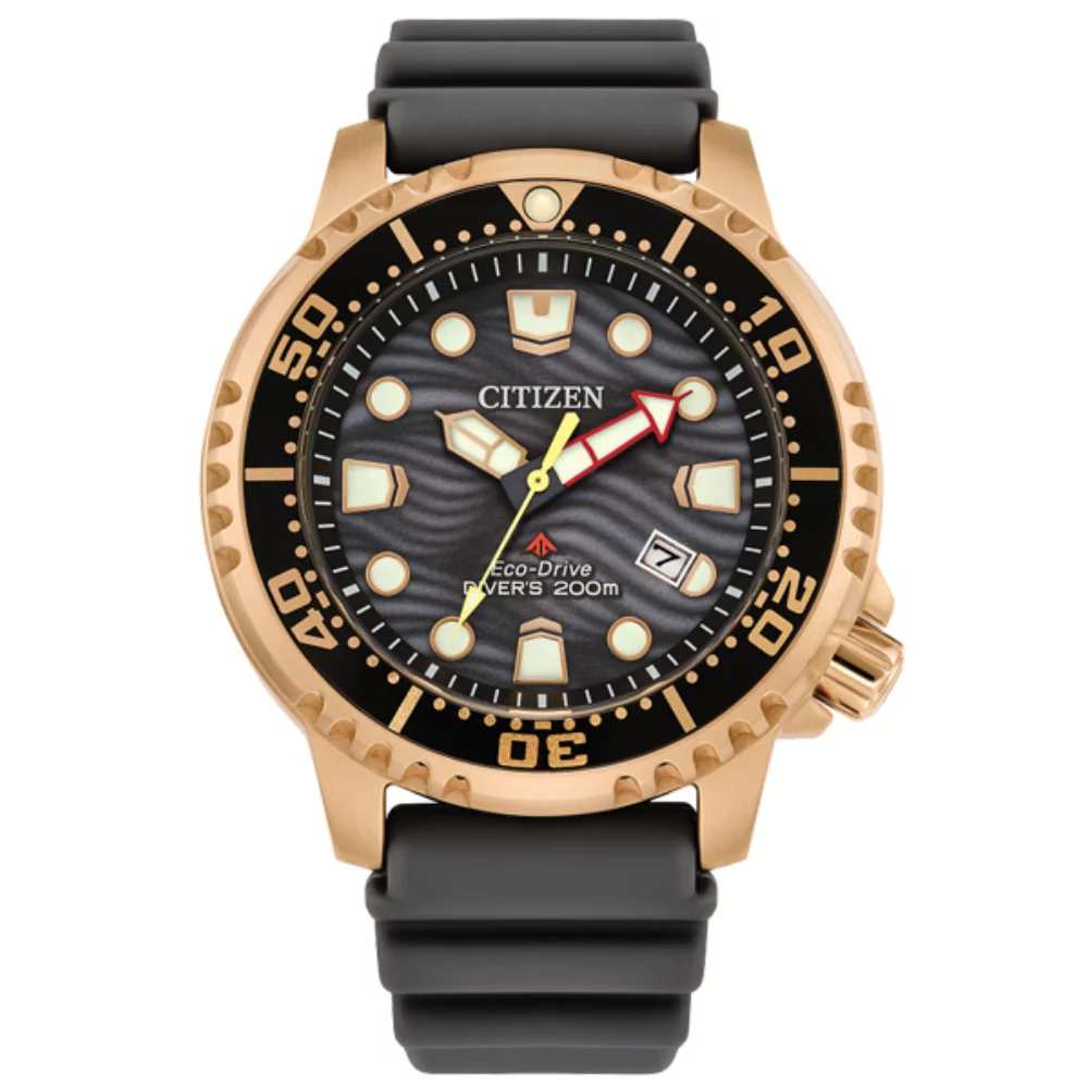 Montre Citizen Promaster Diver - Gris