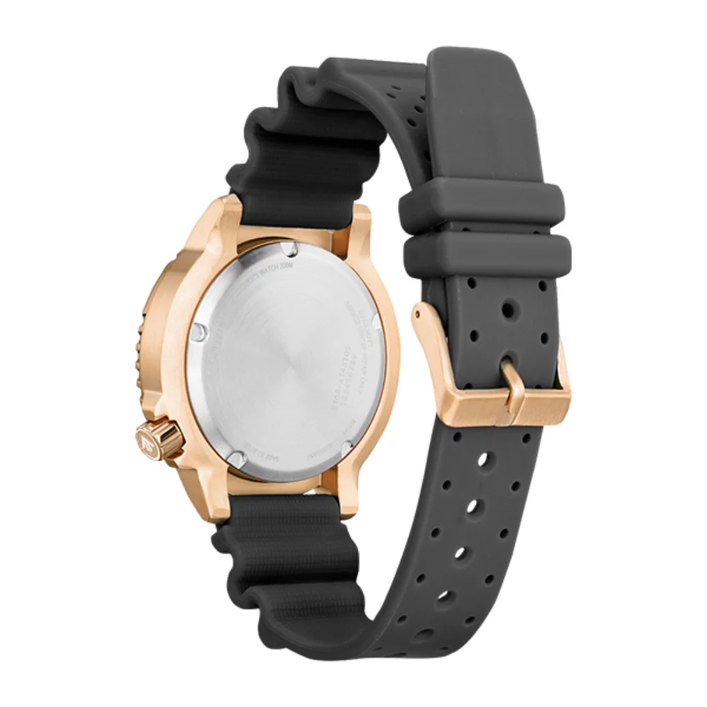Montre Citizen Promaster Diver - Gris