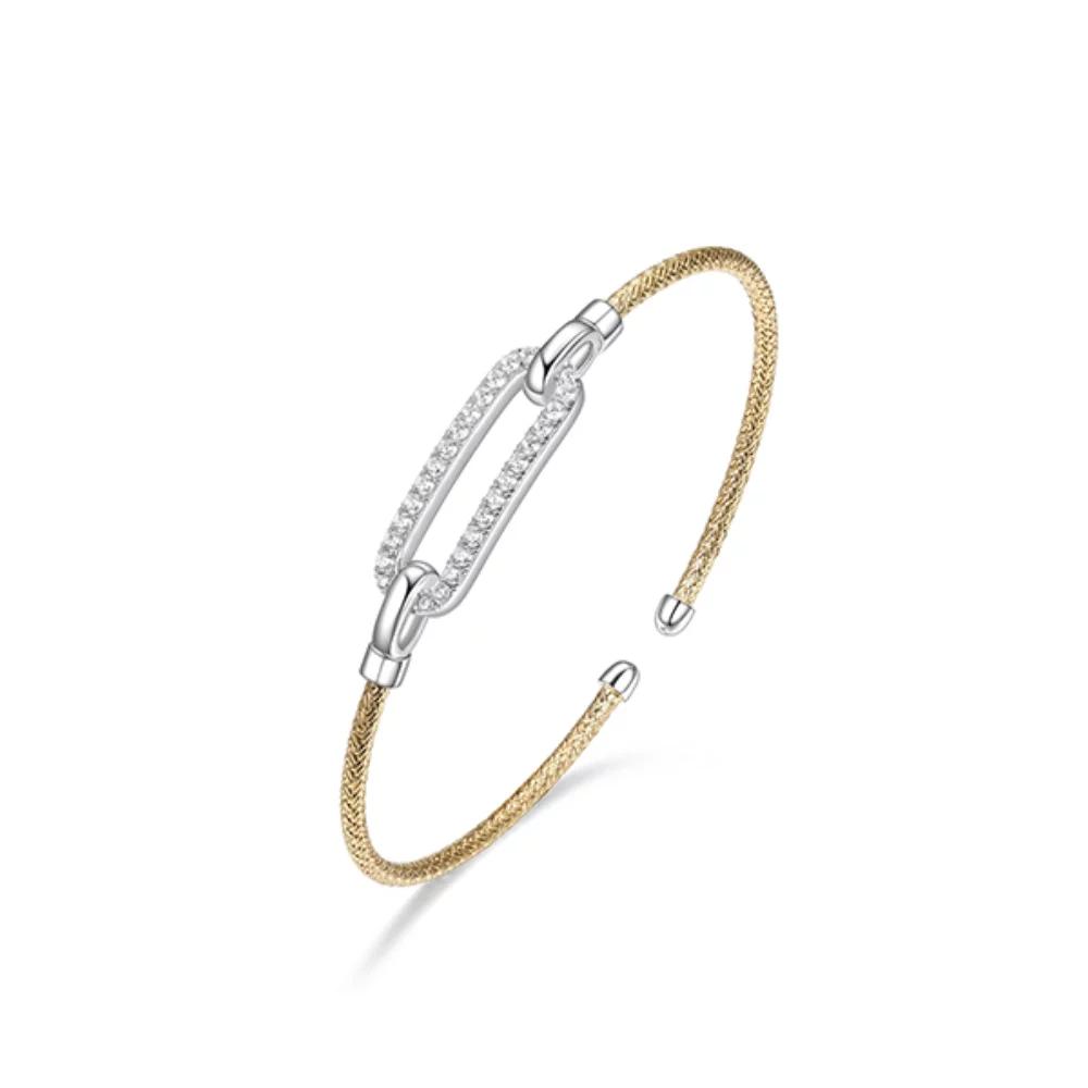 Charles Garnier Sterling Silver "Paperclip" Link with CZ Woven Tube Cuff Bangle - Silver and Gold