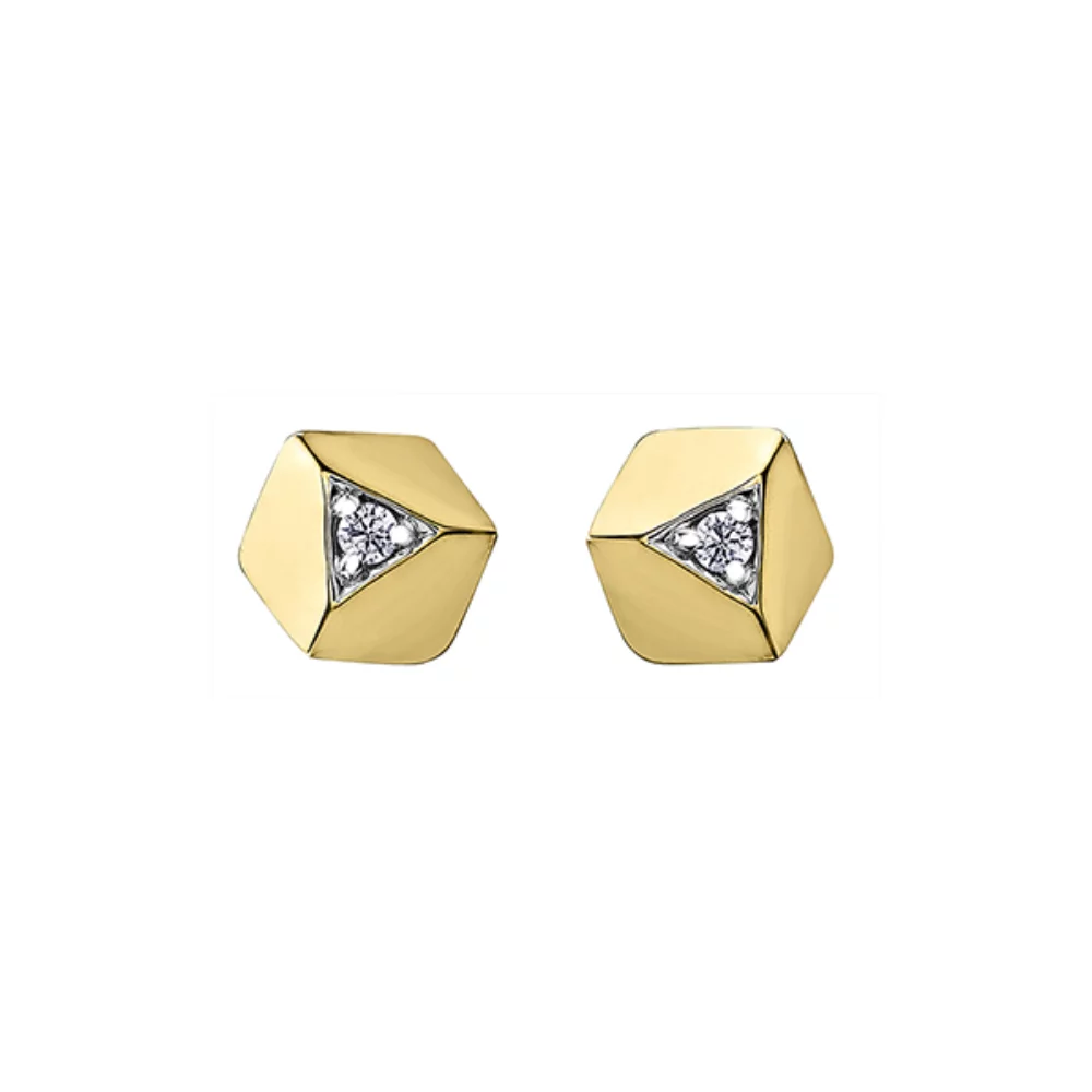 Boucles d'oreilles clous en diamant en or 10 carats (0,08 CT. T.W.) - Or