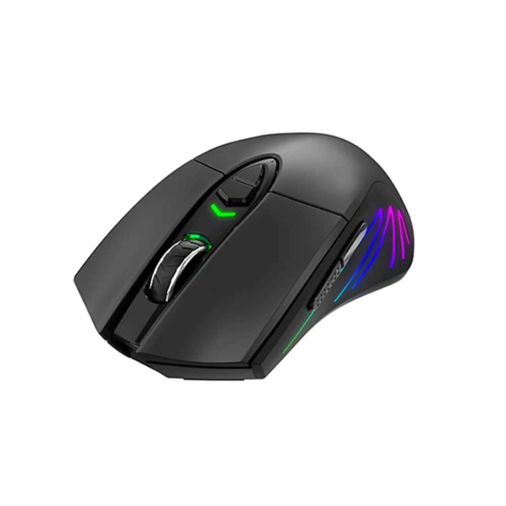 Havit-MSMS1021B Dual Mode Wireless Mouse - Black