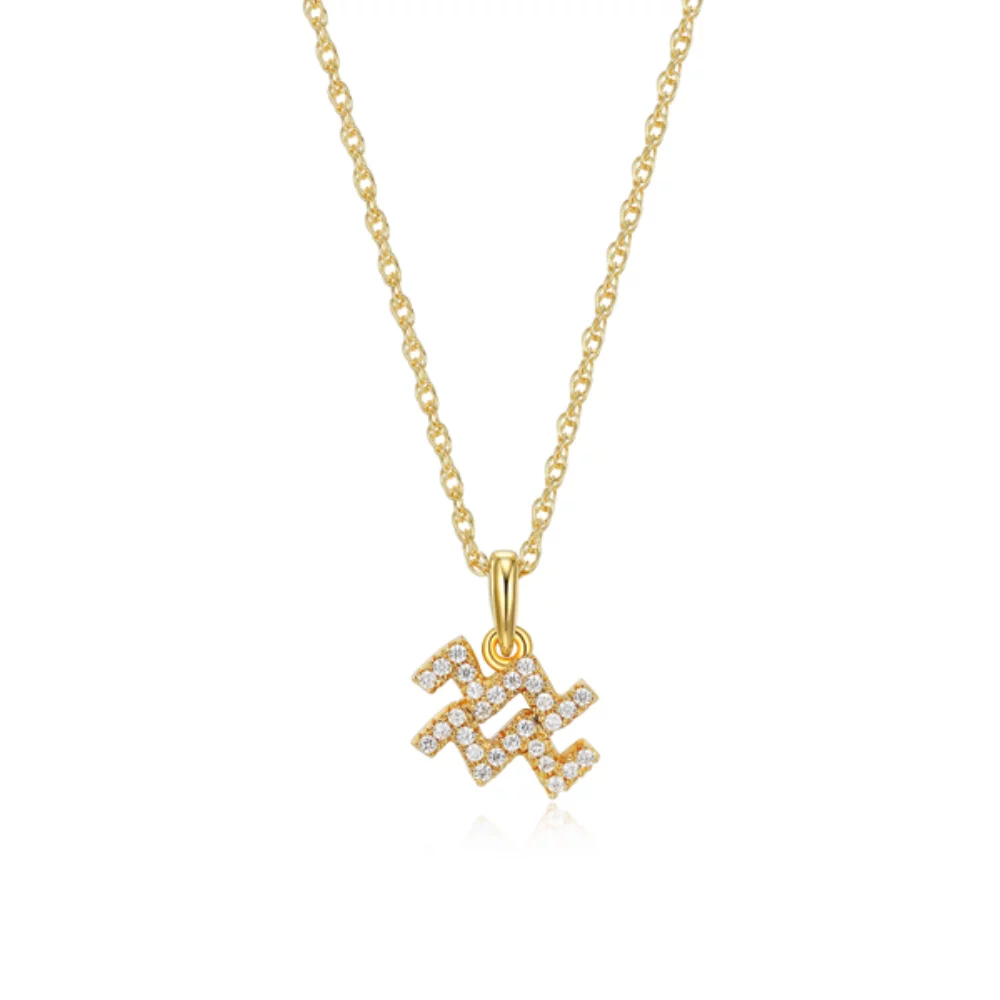 Diamondlite Cubic Zirconia Aquarius Zodiac Rope Necklace - Gold