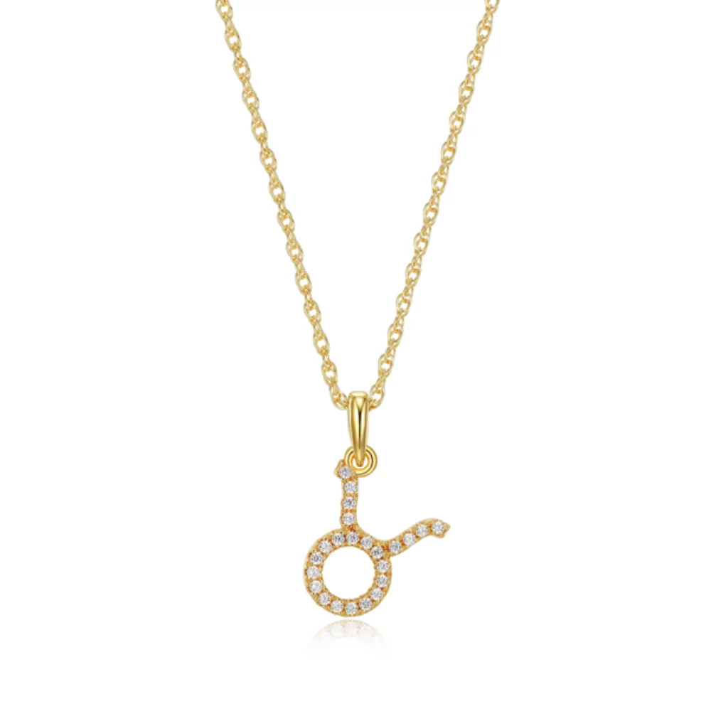 Diamondlite Cubic Zirconia Taurus Zodiac Rope Necklace - Gold