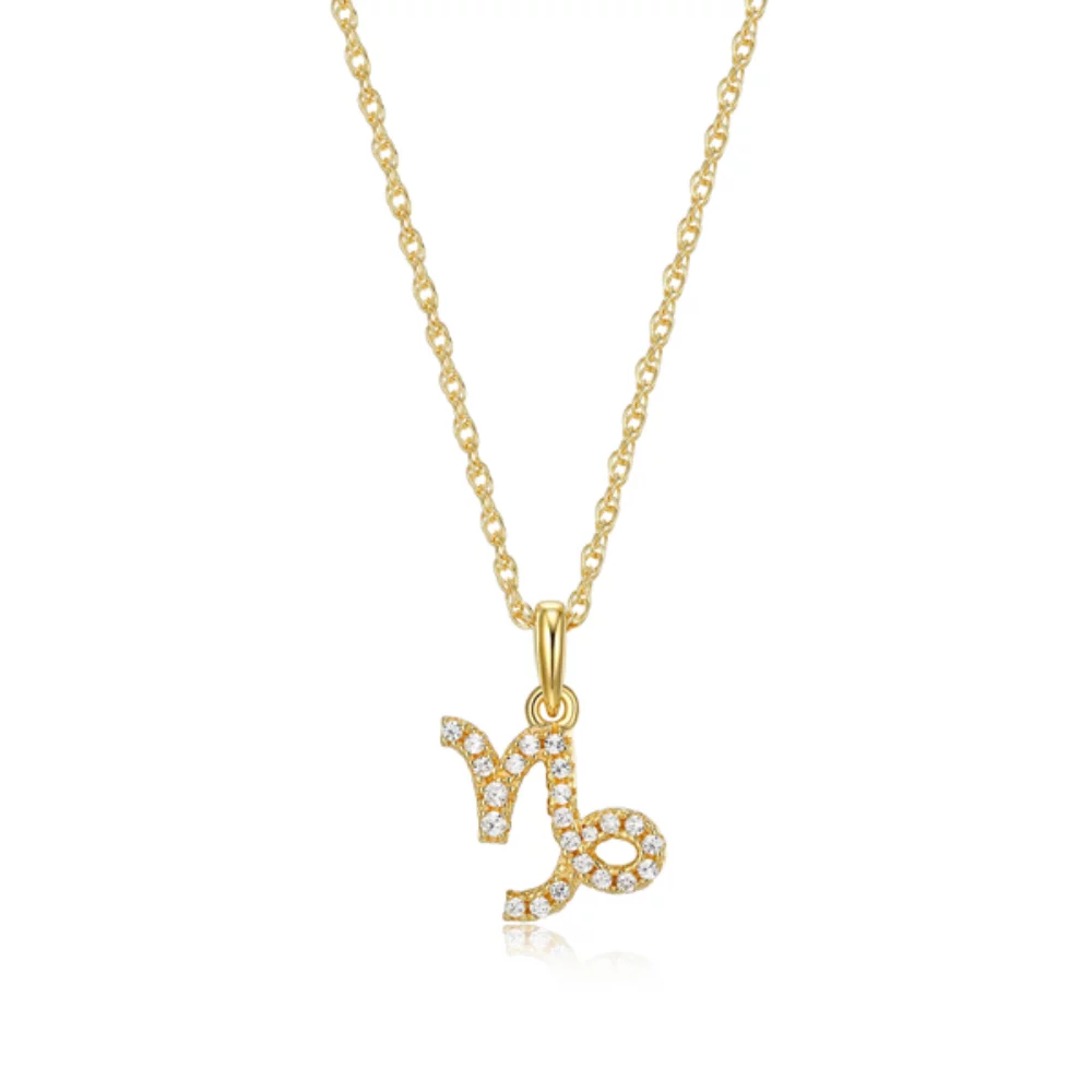 Diamondlite Cubic Zirconia Capricorn Zodiac Rope Necklace - Gold
