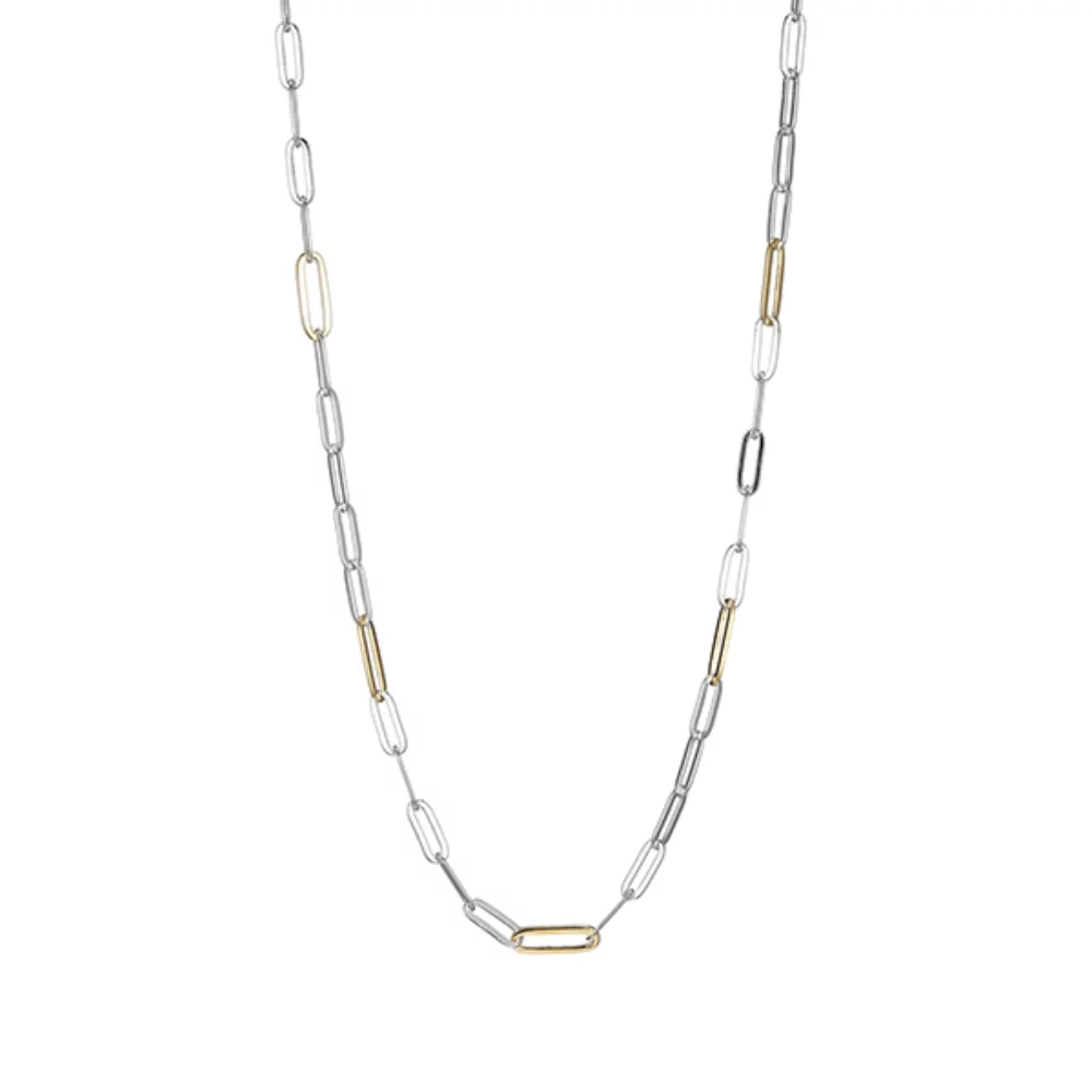 Charles Garnier Sterling Silver "PAPERCLIP" Oval Link Chain - Silver and Gold