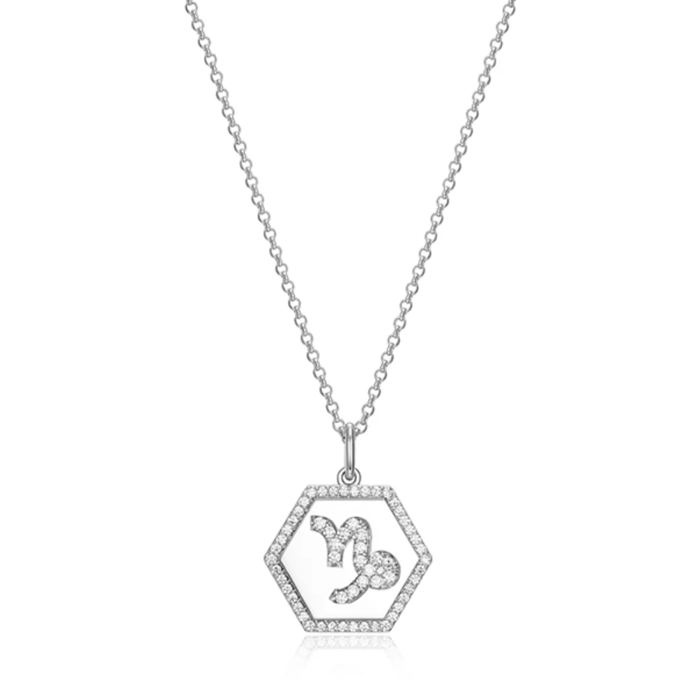 Diamondlite Zodiac collection "Capricorn" Necklace - Silver