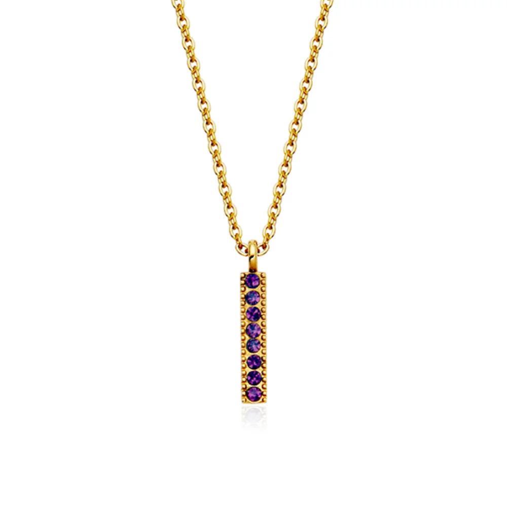 CJ Steelx Amethyst Crystal Birthstone Bar Necklace - February