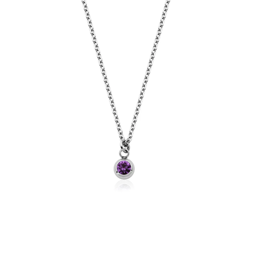 CJ Steelx Carded "February" Amethyst Crystal Necklace - Silver
