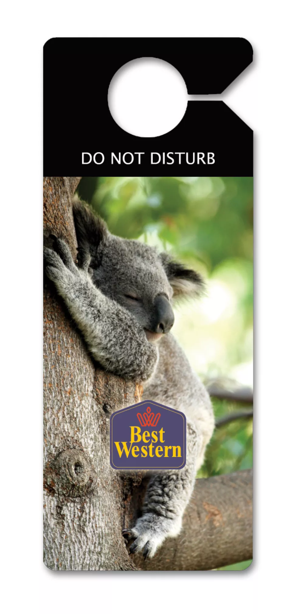 Laminated Door Hanger (8 1/2"x3 3/8")