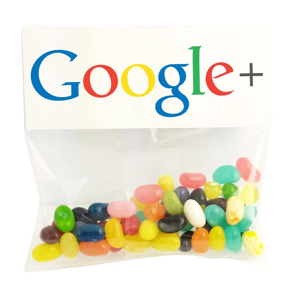 Large Header Bags Chocolate Sunflower Seeds