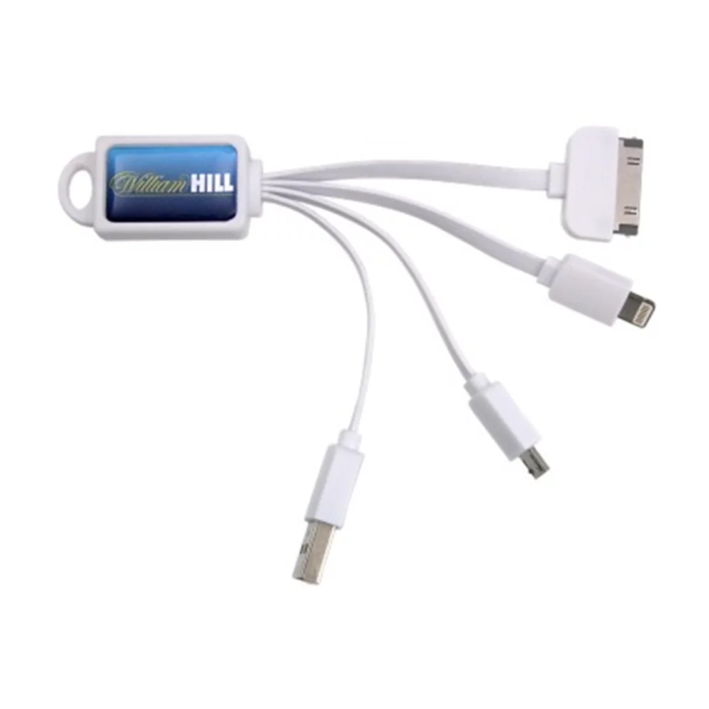 Câble de charge multi-appareils 4-en-1 avec dôme