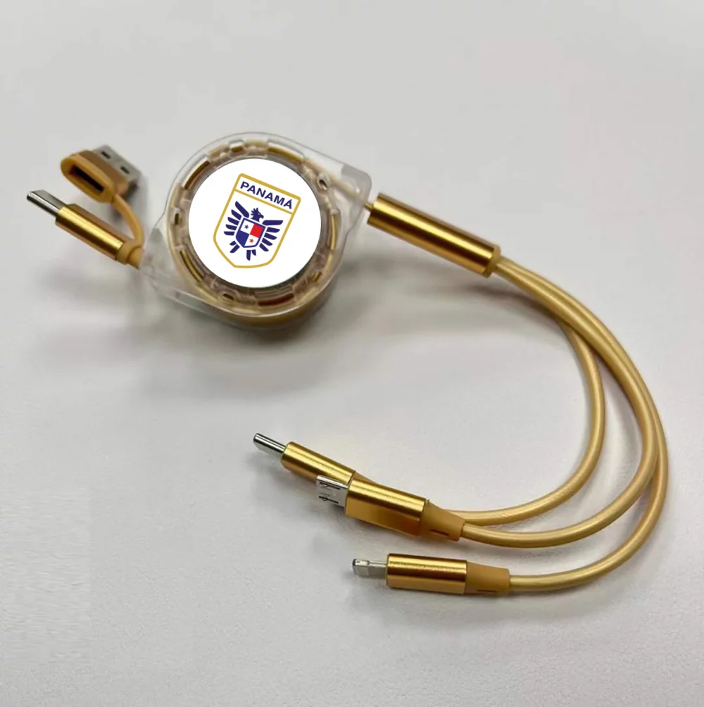 2-in-1 Retractable Charging Cable