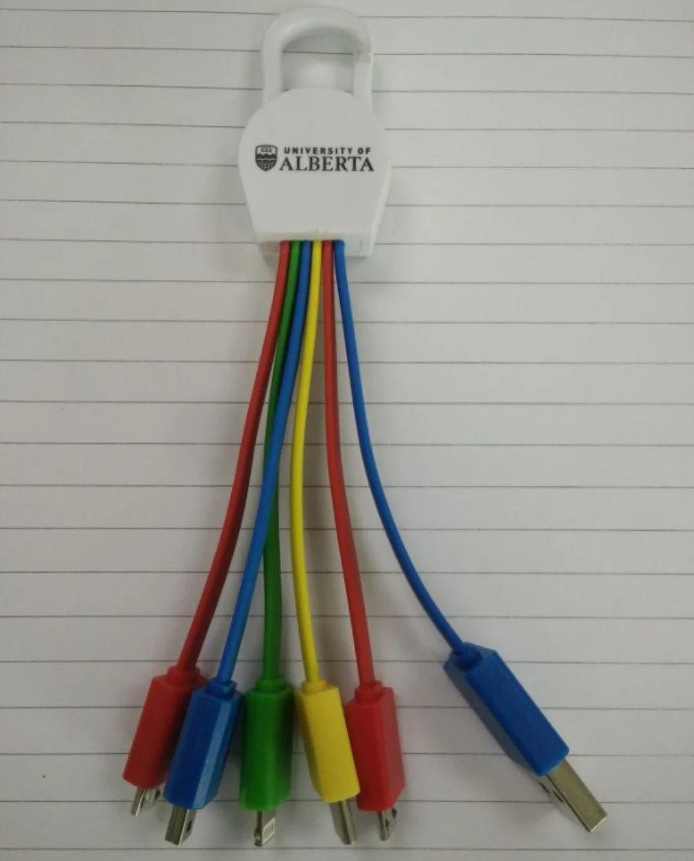 Carabiner w/Type C Charger Adapter