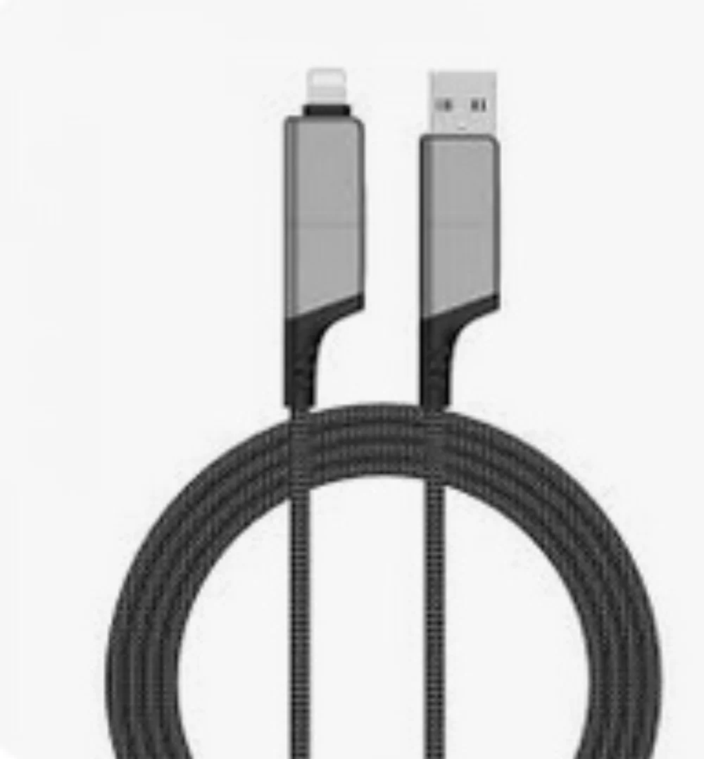 Câble rapide 1m 60W