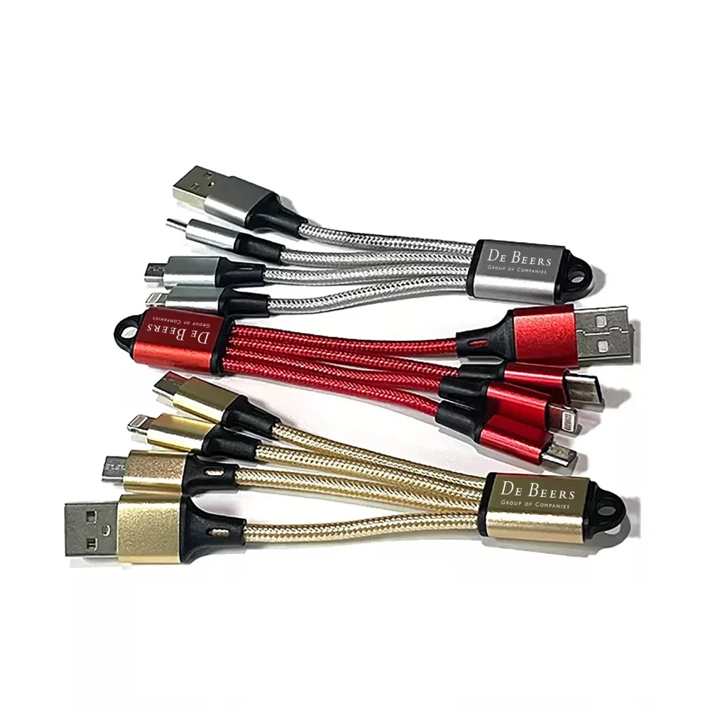 Câble de charge de type C pour porte-clés