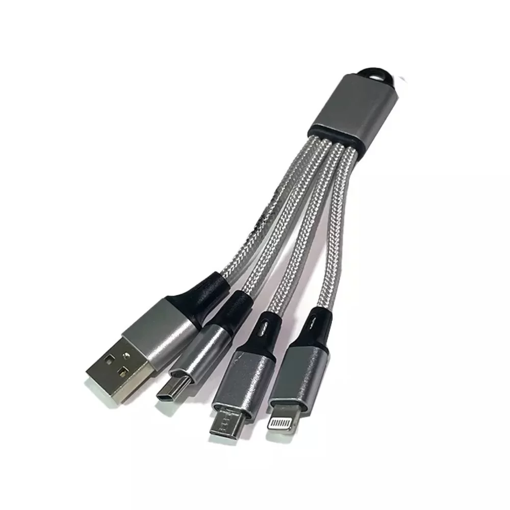 Câble de charge de type C pour porte-clés
