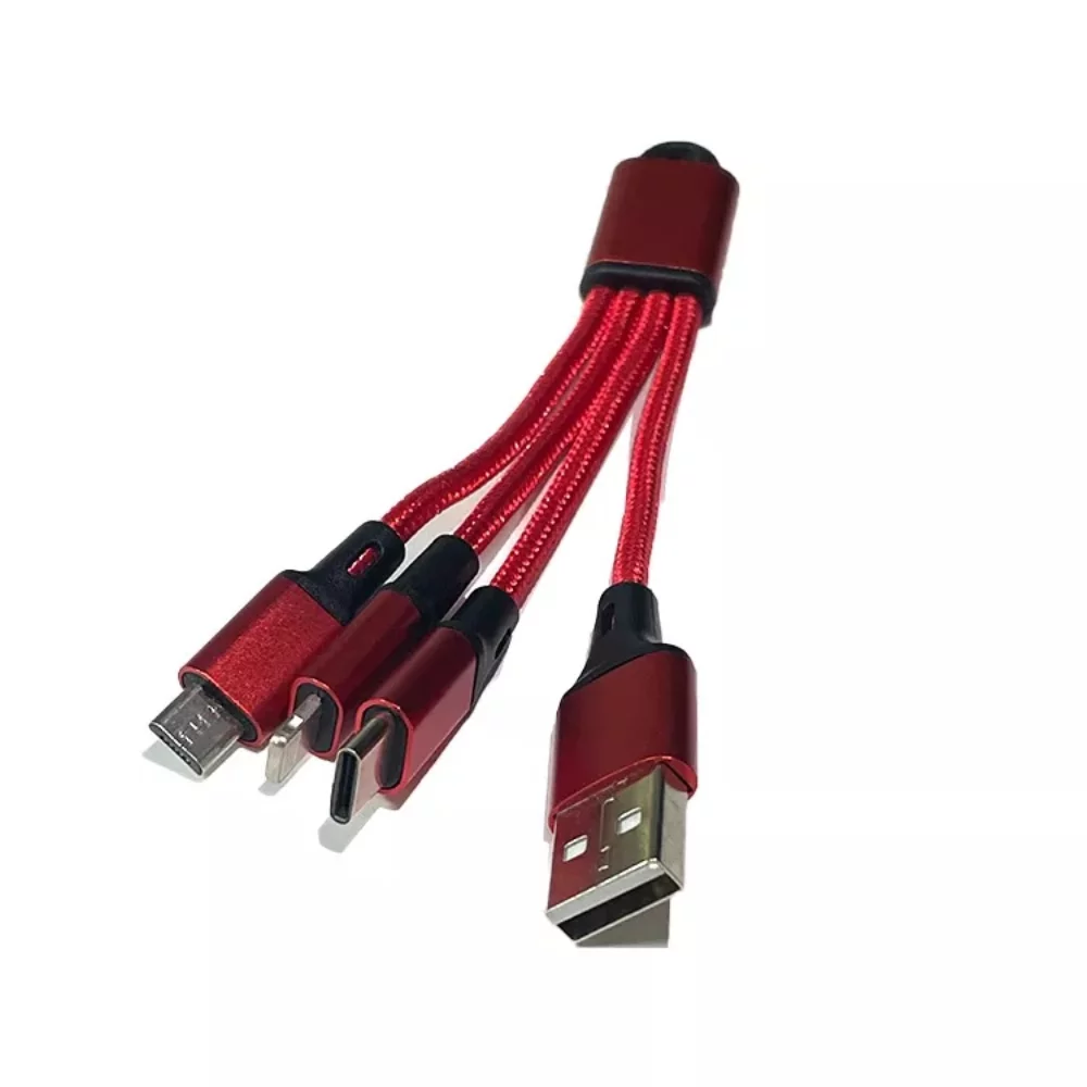 Câble de charge de type C pour porte-clés