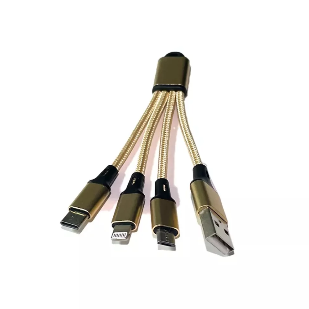 Câble de charge de type C pour porte-clés
