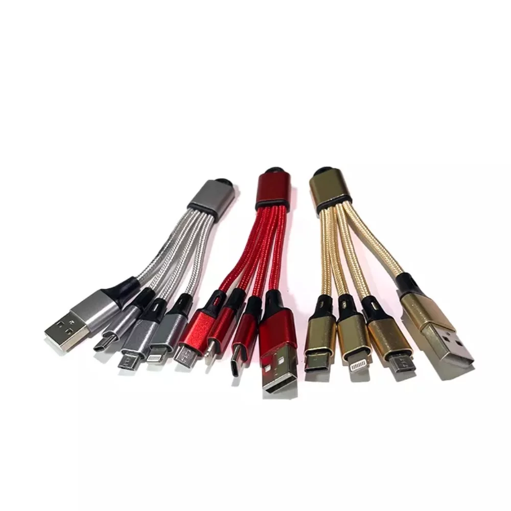 Câble de charge de type C pour porte-clés